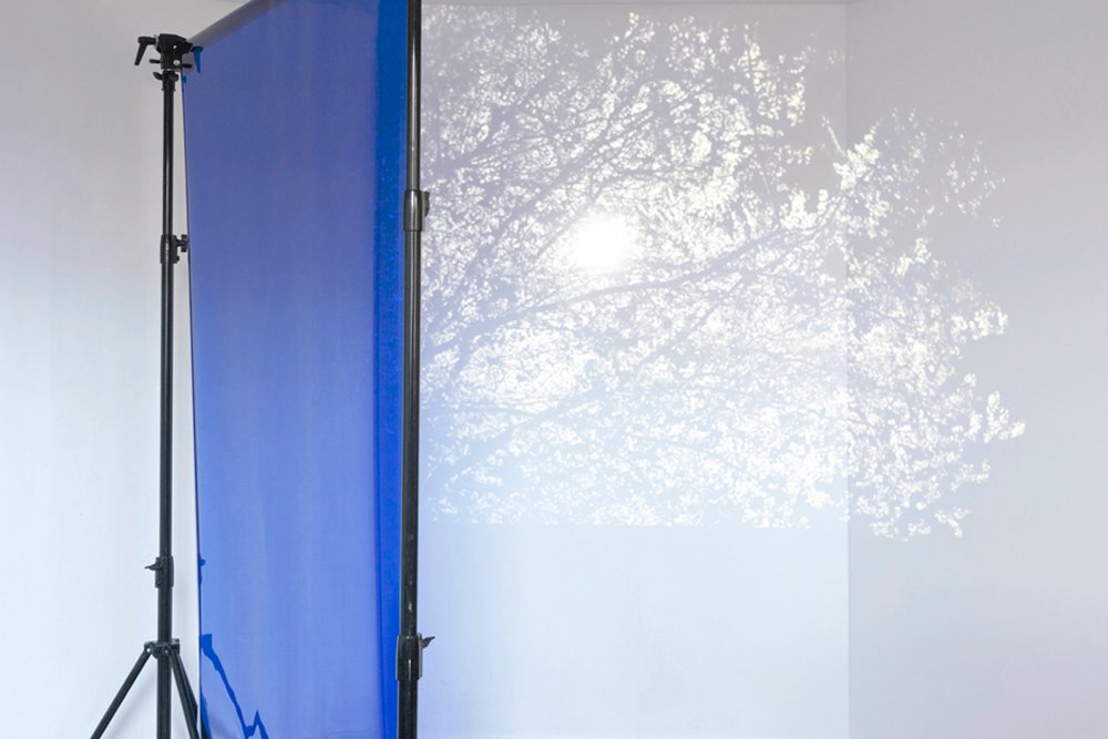 White Section, Blue Gel, 2014